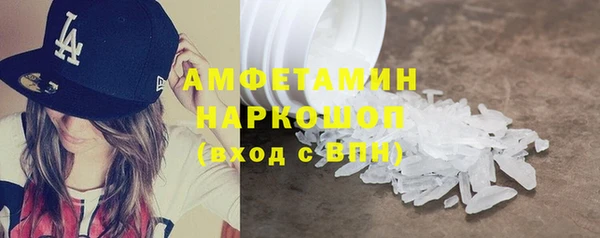 гидра Абаза