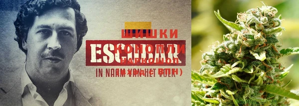 марки nbome Абдулино
